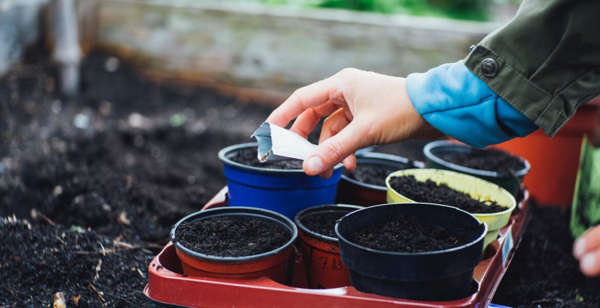 planting seeds in fall