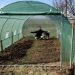 gardener inside an empty green house